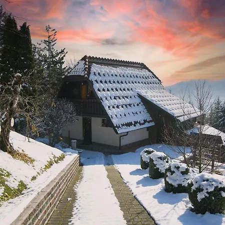 Bonidesa House With Whirlpool - Happy Ljubno