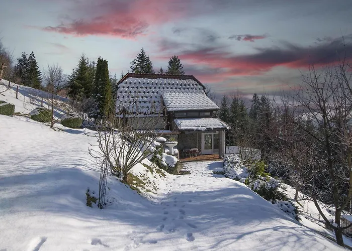 Bonidesa House With Whirlpool - Happy * Ljubno